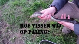 DFC  Hoe vissen wij op paling How do we fish for eel [upl. by Iridissa]