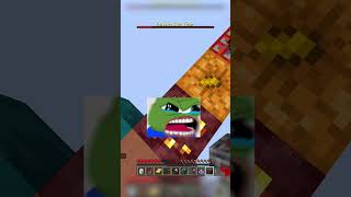 The MOST intense one shorts minecraft minecraftshorts [upl. by Epul]