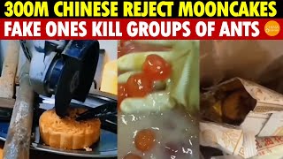 300 Million in China Boycott Mooncake Fake Ones Kill Groups of Ants ‘01 Mooncake’ Goes Viral [upl. by Pernell]