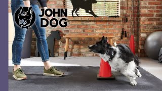 Trening ogólnorozwojowy – PSI FITNESS – John Dog [upl. by Jillane855]