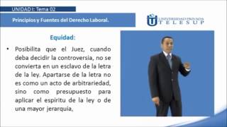 13 PRINCIPIO DE LA EQUIDAD [upl. by Aliekahs]