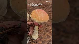 My best friend is a mushroom amanitamuscaria [upl. by Whiney]