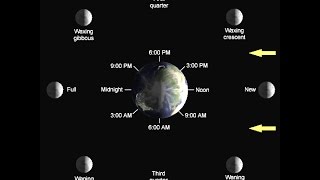 Moon Phases II  Rise amp Set Times [upl. by Richela12]