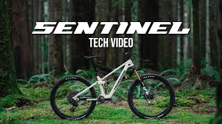 Sentinel V3 Tech Video [upl. by Arrol230]