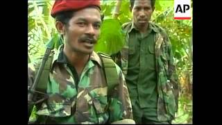 EAST TIMOR REBELS LOOK FORWARD TO INDEPENDENCE REFERENDUM [upl. by Onyx24]