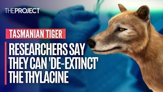 Researchers Say They Can DeExtinct The Tasmanian Tiger [upl. by Eentirb]