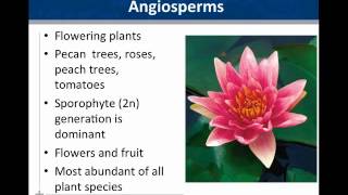 01 Botany Overview [upl. by Sterrett]