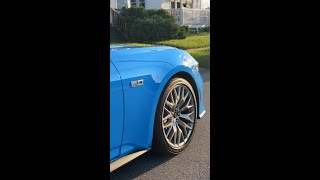 Grabber Blue 2024 Mustang GT shorts [upl. by Udall]