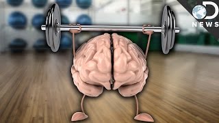 How Exercise Improves Your Memory [upl. by Rhiamon]