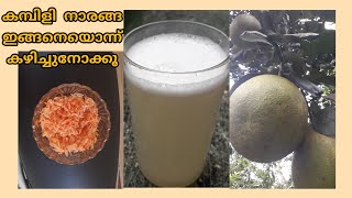 കമ്പിളി നാരങ്ങ കൊണ്ട് ഒരു ജ്യൂസ്  Pomelo Fruit juice  Babloos Naranga juice 😋😋 [upl. by Niobe]