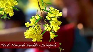 Fête du Mimosa de MandelieuLa Napoule 2020 [upl. by Yerahcaz]