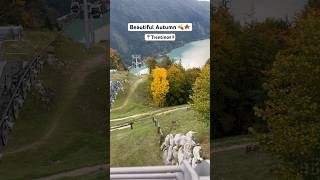 Beautiful autumn in trentino travel italy lagodimolveno [upl. by Publias729]