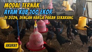 Modal Ternak Ayam KUB 100 Ekor di 2024 dari DOC Sampai Siap Panen [upl. by Seumas205]