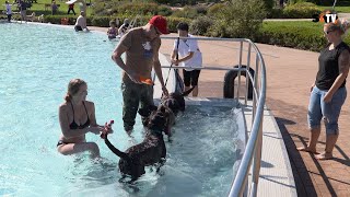 Der letzte Tag an dem das Freibad in Saalfeld geöffnet hat gehört den Vierbeinern [upl. by Nefen]