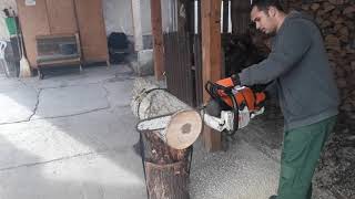 Stihl ms 500i vs Stihl ms 460 💪💪😃 [upl. by Ialohcin247]