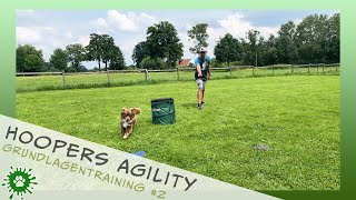 Hoopers Agility Basistraining 2021 Richtungskommandos  Free Shaping [upl. by Dodd514]