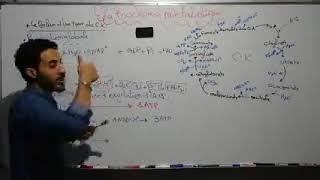 Biochimie Métabolisme des glucides Séance 10 S4Svi [upl. by Anoel]