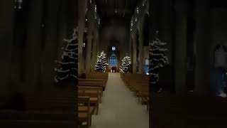 Sheffield Cathedral beautiful christmas themed nave [upl. by Tews937]