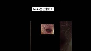 Zekka笛楽しい [upl. by Repohtsirhc]