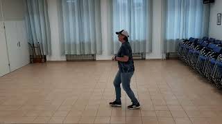 What A Song Can Do Lernvideo Teach amp Dance Line Dance Biene Teil 1 [upl. by Markus]