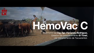 HEMOVAC  Vacuna trivalente contra Babesia y Anaplasma [upl. by Ronnholm]