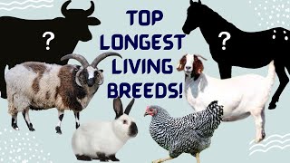 Discover the TOP 8 Longest Living Livestock Breeds [upl. by Kaliope526]