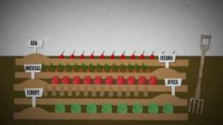 What is food insecurity An explanation [upl. by Jasmina]