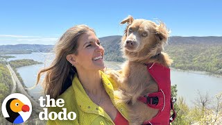 Rescue Dog And Her Mom Love Hiking Together  The Dodo [upl. by Macilroy408]