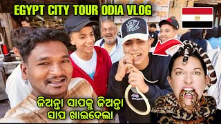 ଜିଅନ୍ତା ସାପକୁ ଜିଅନ୍ତା ସାପ ଖାଇଦେଲା  EGYPT CITY TOUR mutraveller [upl. by Nolyag]