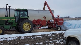 Extracting Peas Fighting Mud Snow and Rain [upl. by Vona302]