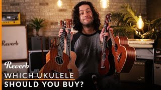 Which Ukulele Should You Buy  Reverb Buying Guide [upl. by Orgel]