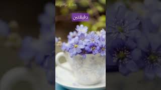 حط لايك واشتراك واستمع للقران اذا انت الصف الخامس ابتدائي ☺️✨ [upl. by Alieka103]