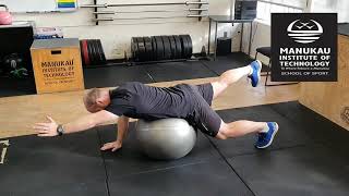 Swiss Ball Back Extension with alternate arm and leg lift [upl. by Bolten]