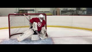 Angles  Hockey Goaltending [upl. by Chandra]