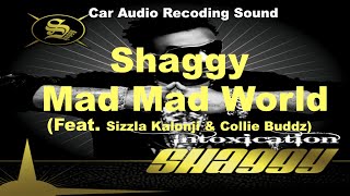 Shaggy  Mad Mad World Feat Sizzla Kalonji amp Collie Buddz [upl. by Denbrook]