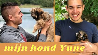 Mijn hond Yune 👉🏼 vocabulaire canin en néerlandais 🇳🇱 Story time pour apprendre le néerlandais 😎 [upl. by Fee]