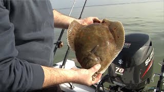 Fishing for Flatfish  Rigs Tips amp Tactics  CATCH MORE FISH [upl. by Nomahs]