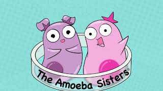 Amoeba Sisters Music [upl. by Salokin]