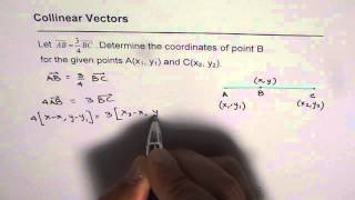 10 General Solution For Collinear Points [upl. by Anirres]