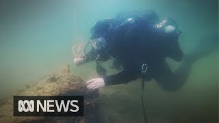 The divers hunting unexploded World War II bombs [upl. by Farleigh278]