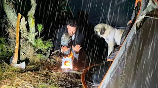 Night Camping in Heavy Rain • 2 Days in the Forest  Rainstorm Bad Weather Rain Camping [upl. by Niamrahc736]