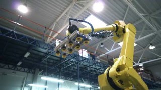 Elinta Fanuc Robot [upl. by Mitzie]