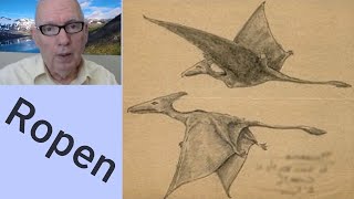 Pterodactyl Sightings in Australia [upl. by Colas]