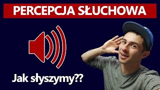 PERCEPCJA SŁUCHOWA  czyli jak odbieramy dźwięki  MUZYKANAŁ 1 [upl. by Wettam]