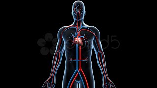 CIRCULATORY SYSTEM CRASH COURSE LECTURE [upl. by Adamis761]