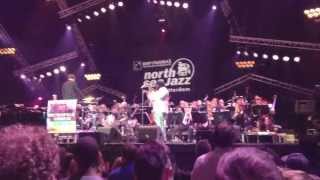 Metropole Orkest featuring Gregory Porter live  North Sea Jazz 2013 [upl. by Odnomor600]