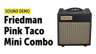 Friedman Pink Taco Mini Combo Sound Demo no talking [upl. by Leamaj147]