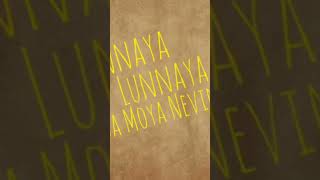 Sonnaya lunnaya isa song songlyricssonnayasong [upl. by Nitsur]