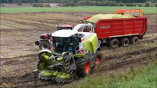 Bart Sprangers mais hakselen 2017 3  nieuwe Claas Jaguar 960 Shredlage  in natte omstandigheden [upl. by Llij45]