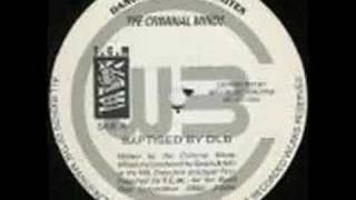 The Criminal Minds  Baptised By Dub Stereo [upl. by Maxma]